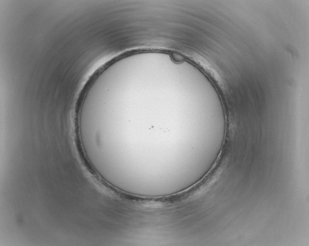 X0000115711085200911251851