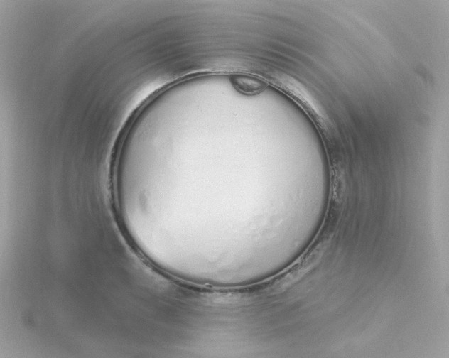 X0000115711087200911251851