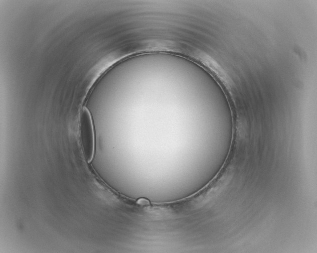 X0000115711089200911251851