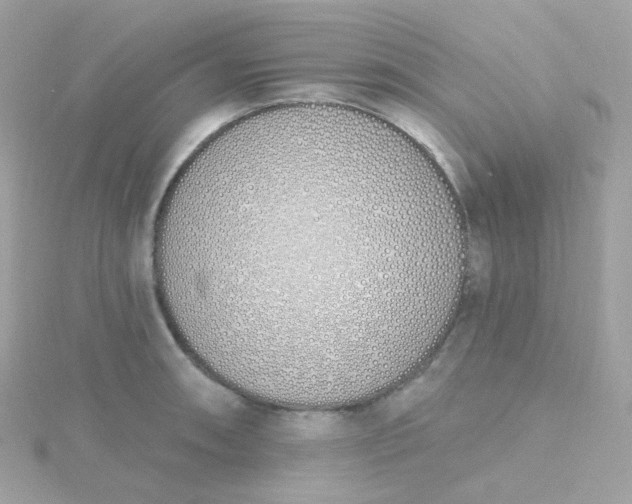 X0000115711090200911251851