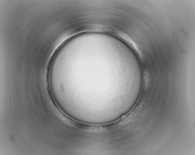 X0000115711091200911251851