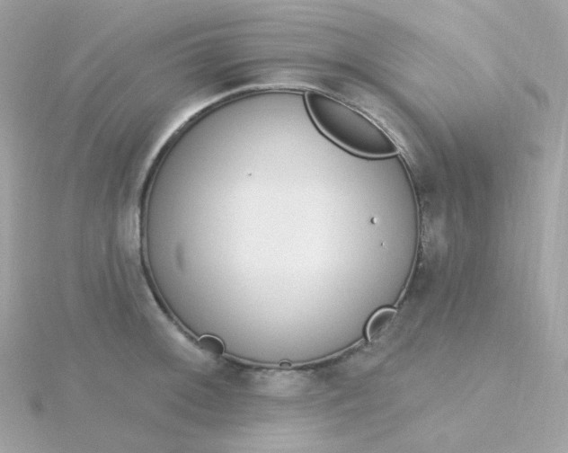 X0000115711092200911251851