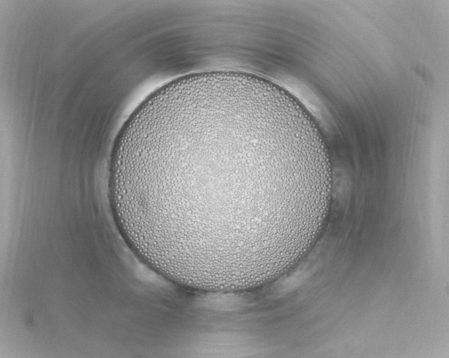 X0000115711094200911251851