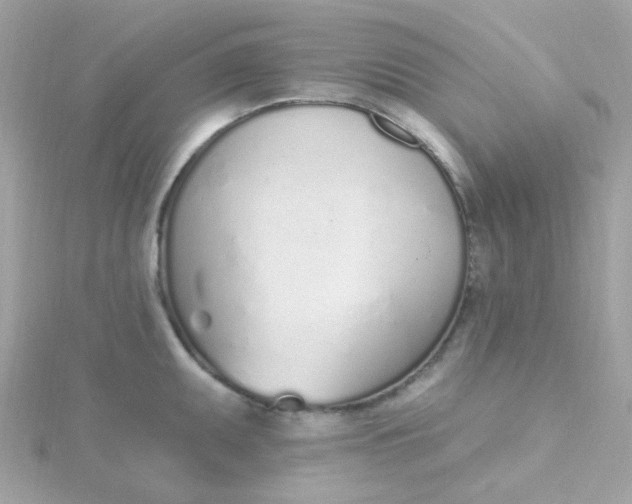 X0000115711095200911251851