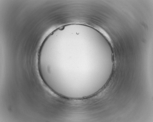 X0000115711096200911251851