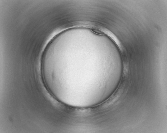 X0000115711099200911251850