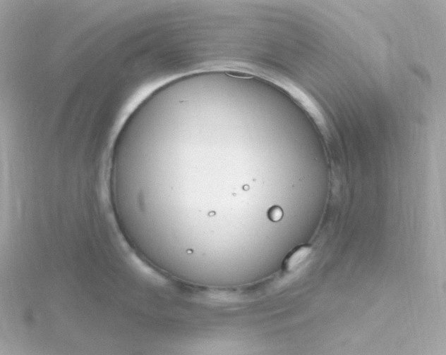 X0000115711102200911251850