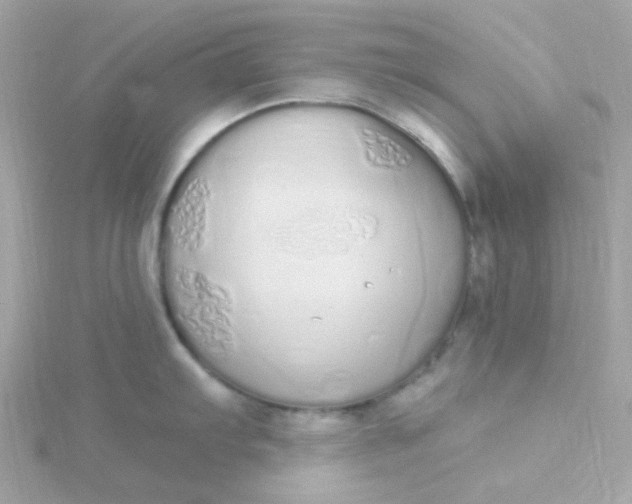 X0000115711103200911251850