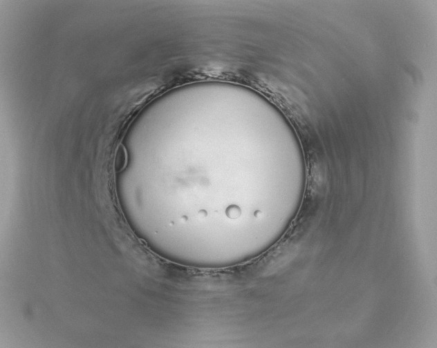 X0000115711105200911251850