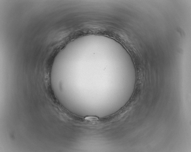 X0000115711109200911251850