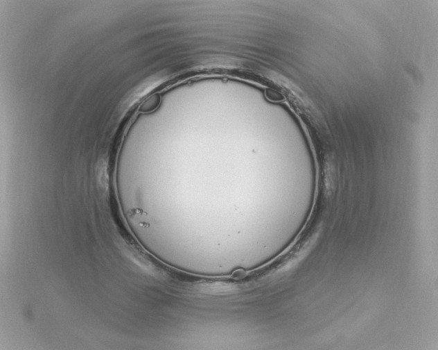 X0000115711113200911251850