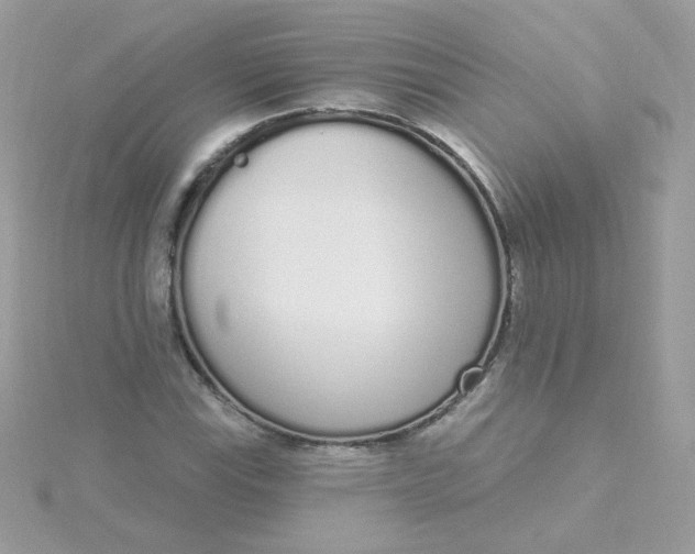 X0000115711115200911251850