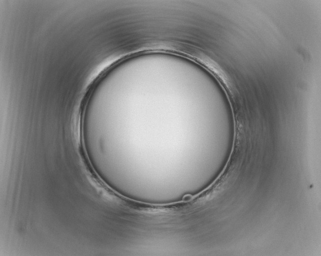 X0000115711127200911251850