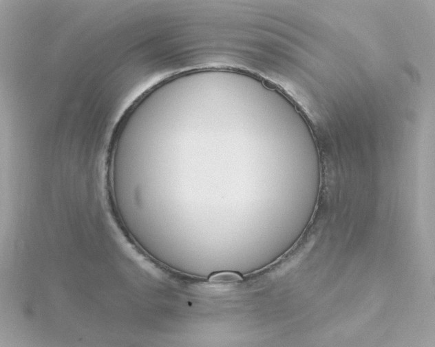 X0000115711134200911251850