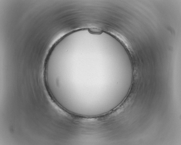 X0000115711135200911251850