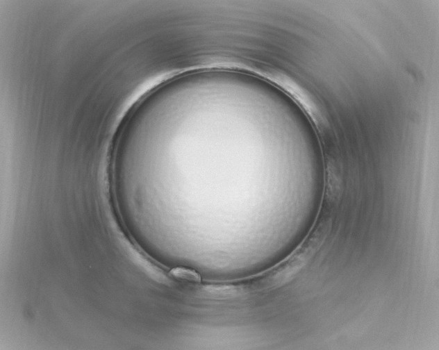 X0000115711142200911251850