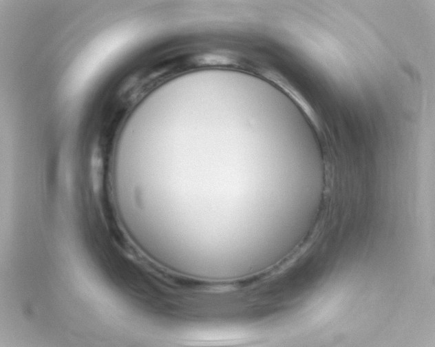 X0000115711151200911251850