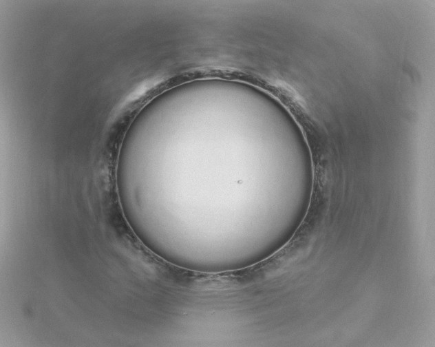 X0000115711159200911251850