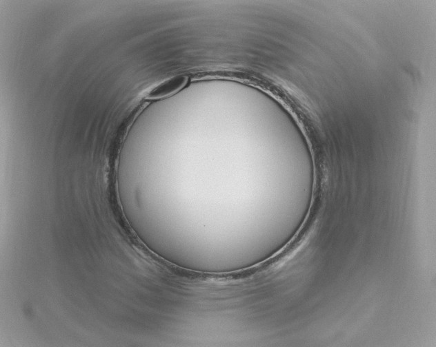 X0000115711161200911251850