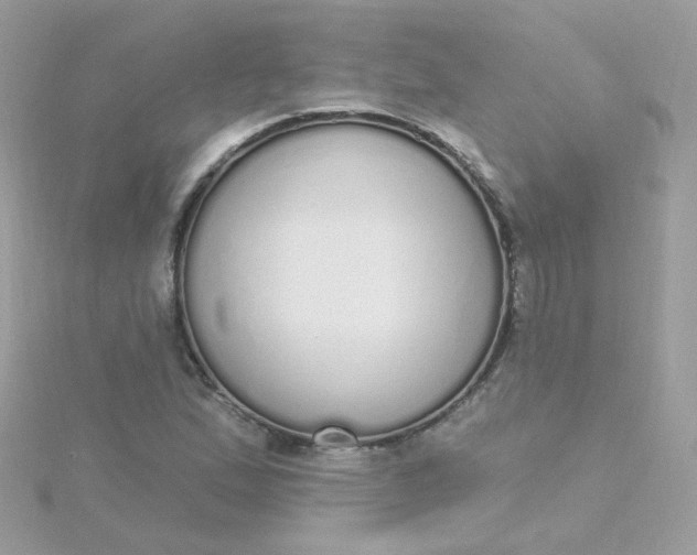 X0000115711167200911251850