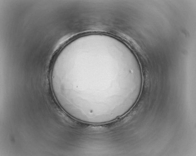 X0000115711168200911251850