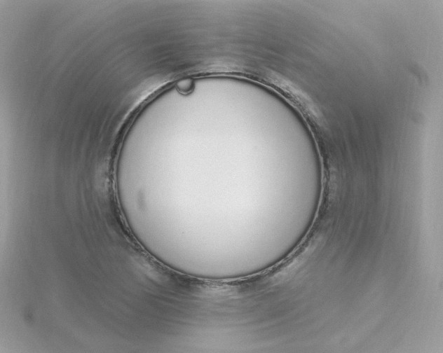 X0000115711170200911251850