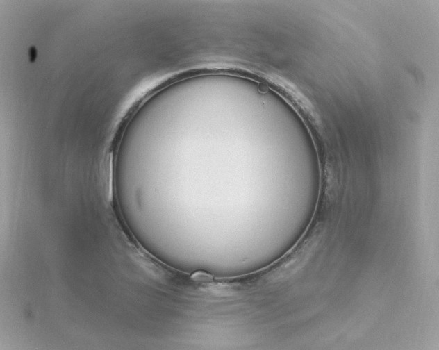 X0000115711175200911251849