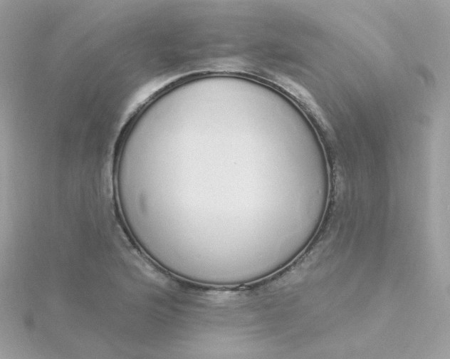 X0000115711176200911251849