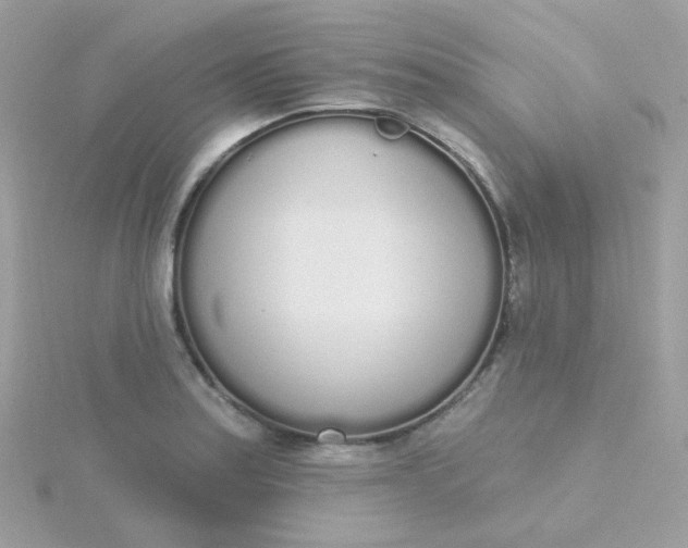 X0000115711179200911251849