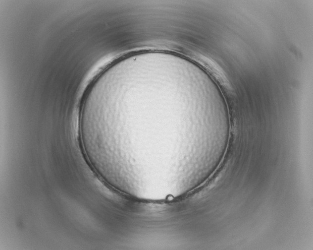 X0000115711180200911251849