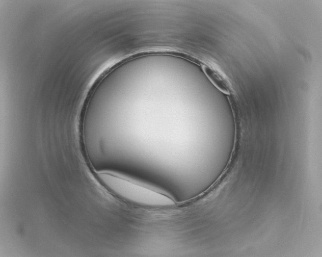 X0000115711181200911251849