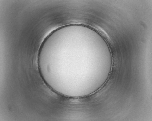 X0000115711182200911251849