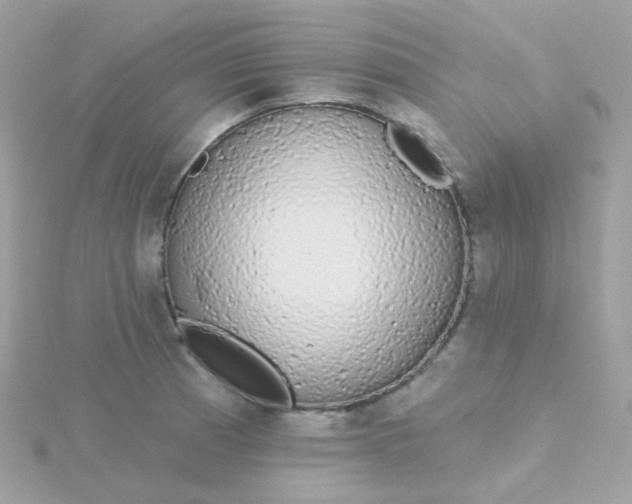 X0000115711185200911251849