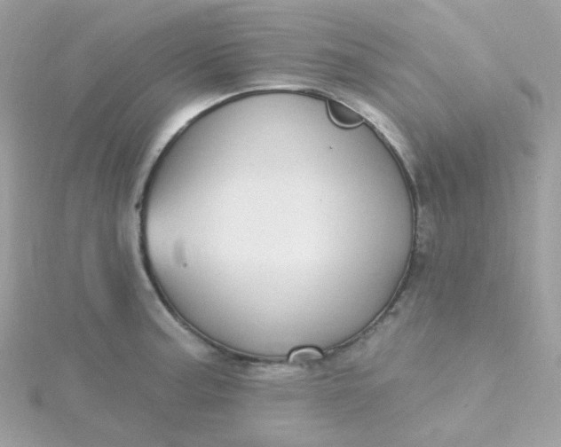 X0000115711187200911251849