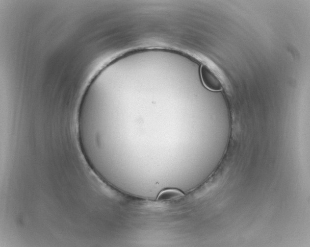 X0000115711191200911251849