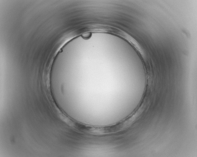 X0000115711194200911251849