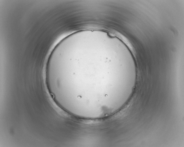 X0000115711195200911251849