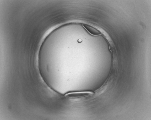 X0000115711199200911251849