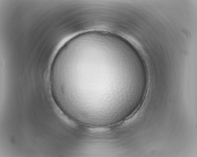 X0000115711200200911251849