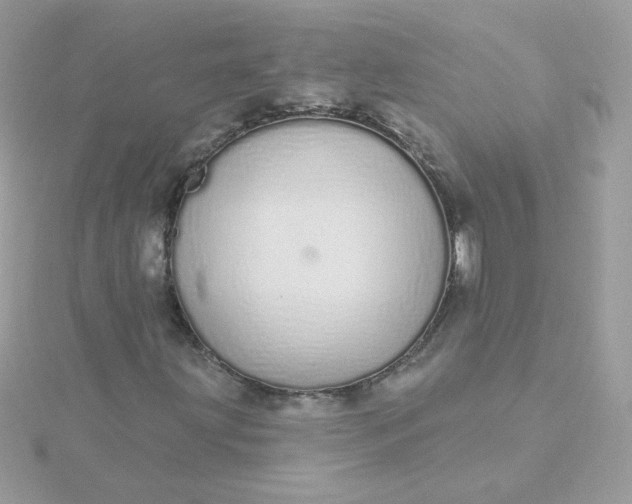 X0000115711203200911251848