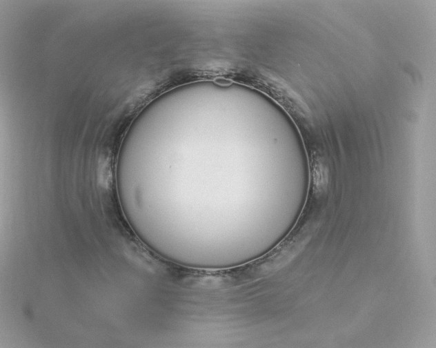 X0000115711204200911251848