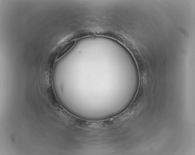 X0000115711205200911251848