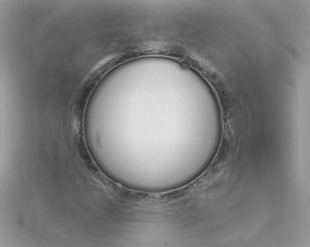 X0000115711206200911251848