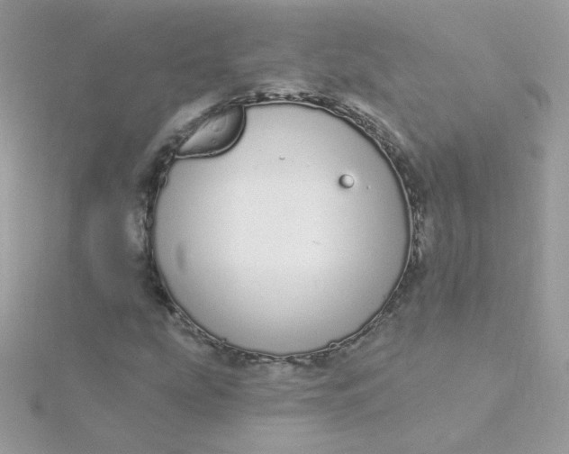 X0000115711207200911251848