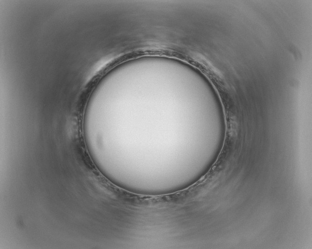 X0000115711208200911251849