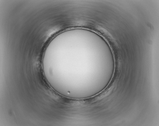 X0000115711210200911251849