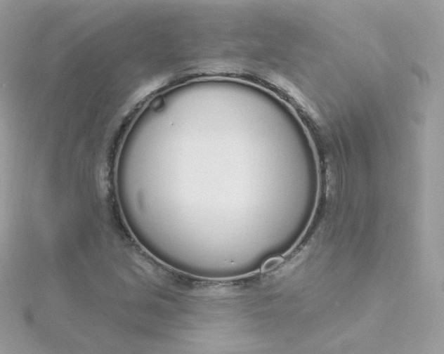 X0000115711213200911251849