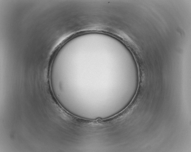 X0000115711216200911251849