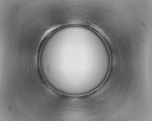 X0000115711222200911251849