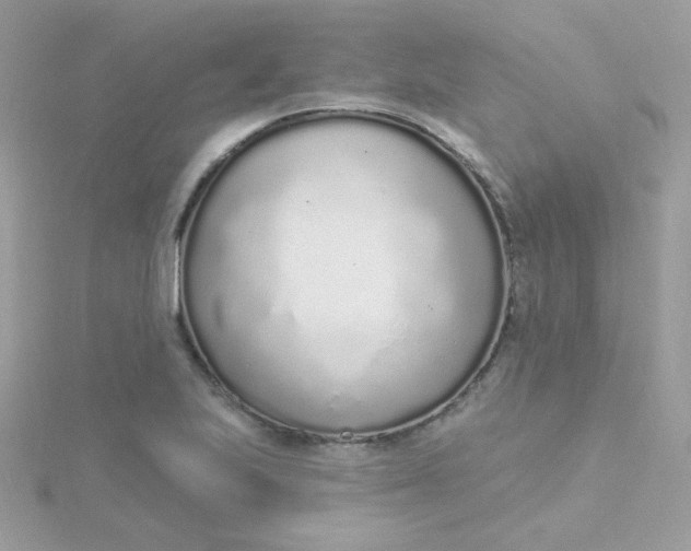 X0000115711223200911251849